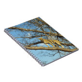 木の雌ライオン ノートブック (右側)