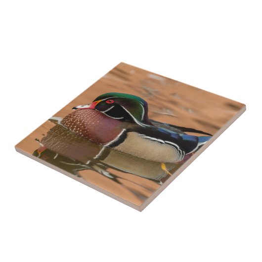 木の鴨が水中を泳ぐ タイル (側面)