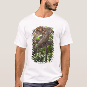 木の2匹の猿 Tシャツ