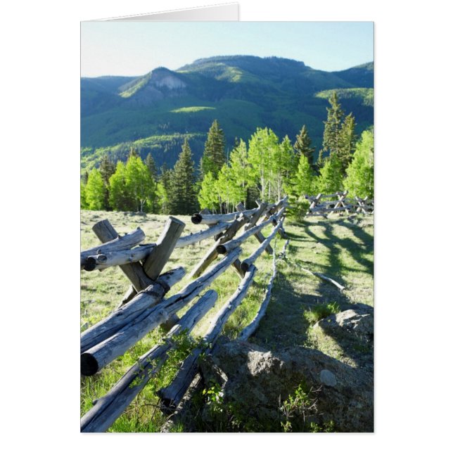 木のFenceline (正面)