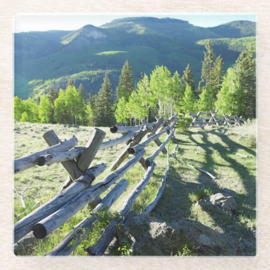 木のFenceline ガラスコースター (正面)