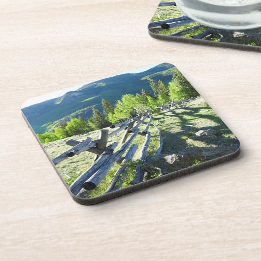 木のFenceline コースター (左側)