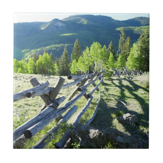 木のFenceline タイル (正面)