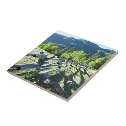 木のFenceline タイル (側面)