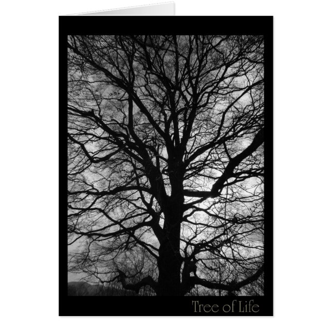 木のhuggersのためのだけ人生のの木 (正面)