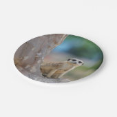 木のMeerkat土曜日 ペーパープレート (アングル)