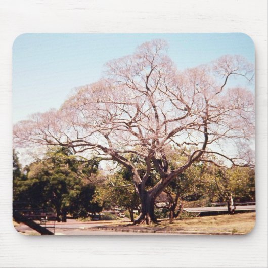 木のmousepad マウスパッド (正面)