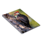 木のPileatedの美しいキツツキ ノートブック (右側)