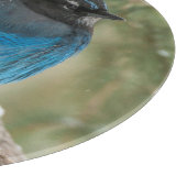 木のStellerのジェイの鳥 カッティングボード (角)