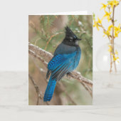 木のStellerのジェイの鳥 カード (黄色い花)