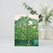 木はがき ポストカード (スタンド正面)