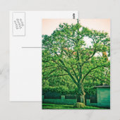 木はがき ポストカード (正面/裏面)