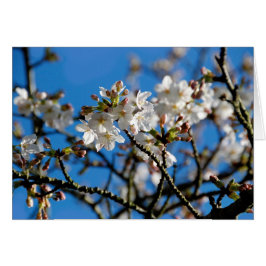 木はカード活気付きます