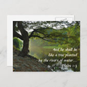 木は川によって植えられ、詩篇1:3、聖なる書物、 経典 ポストカード (正面/裏面)