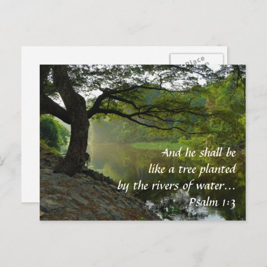木は川によって植えられ、詩篇1:3、聖なる書物、 経典 ポストカード (正面/裏面)