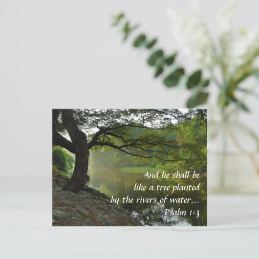 木は川によって植えられ、詩篇1:3、聖なる書物、 経典 ポストカード (スタンド正面)