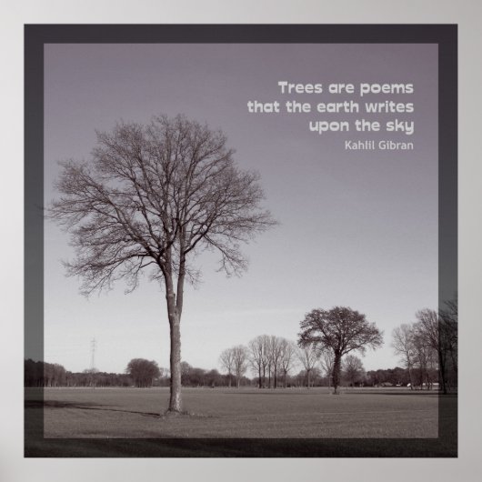 木は歌だ ポスター (正面)