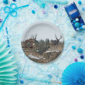 木びき台のシカの最初雪 ペーパープレート (パーティー)