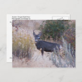 木びき台のシカの郵便はがき ポストカード (正面/裏面)