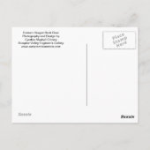 木びき台のシカの郵便はがき ポストカード (裏面)