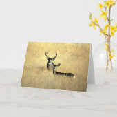 木びき台及び雌ジカカード カード (黄色い花)