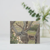 木びき台 ポストカード (スタンド正面)