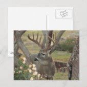 木びき台 ポストカード (正面/裏面)