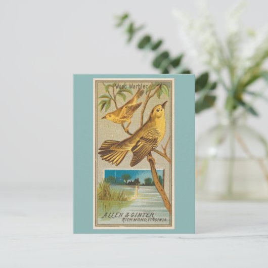 木よけ ポストカード (スタンド正面)