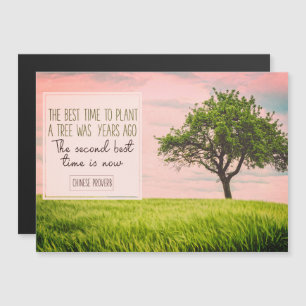 木を植える最も最高のな時間