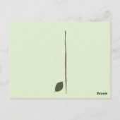 木を植える。未来への投資 ポストカード (裏面)