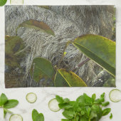 木を磨く キッチンタオル (折り畳み)