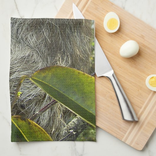 木を磨く キッチンタオル (四つ折り)