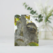 木を磨く ポストカード (スタンド正面)