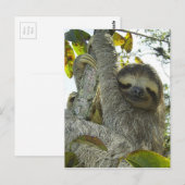 木を磨く ポストカード (正面/裏面)