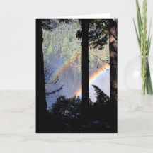 木を通した二重虹