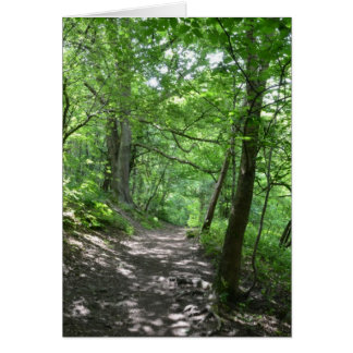 木を通した日曜日