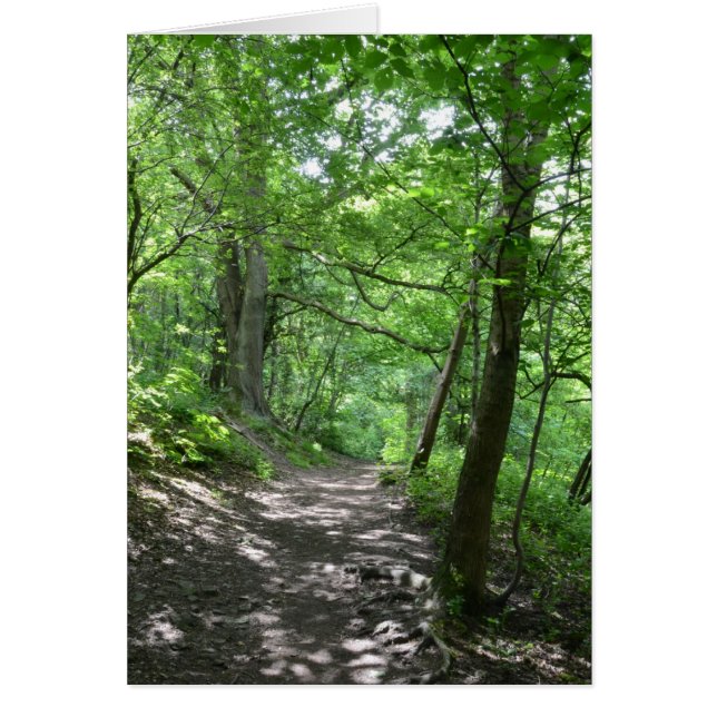 木を通した日曜日 (正面)