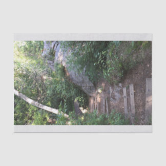 木を通した細道 薄葉紙