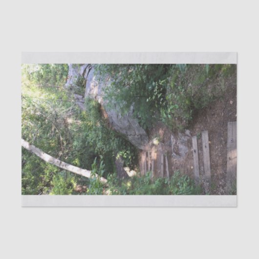 木を通した細道 薄葉紙 (正面)