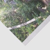 木を通した細道 薄葉紙 (詳細)