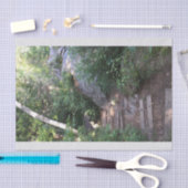 木を通した細道 薄葉紙 (クラフト)