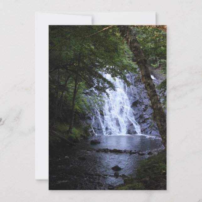 木を通って隠される (正面)