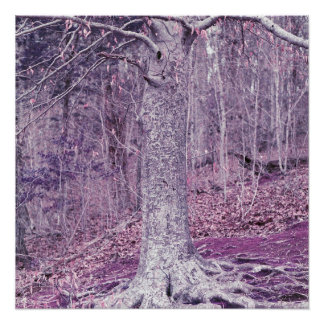 木アットダンバー ポスター