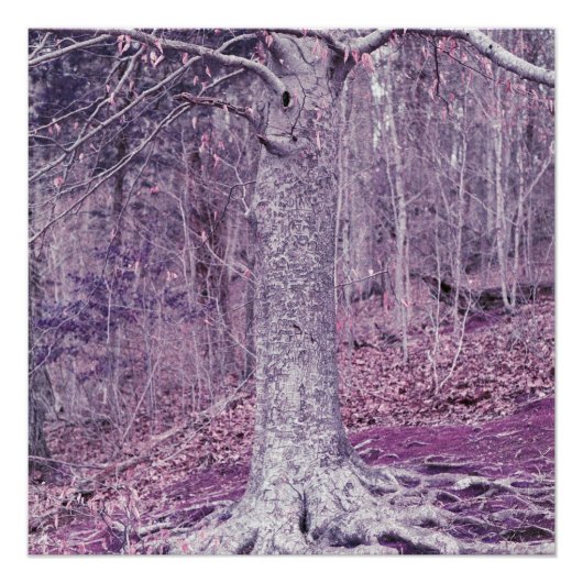 木アットダンバー ポスター (正面)