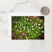 木アネモネ白かわいらし春花 ノートカード (正面/裏面インサイチュ)