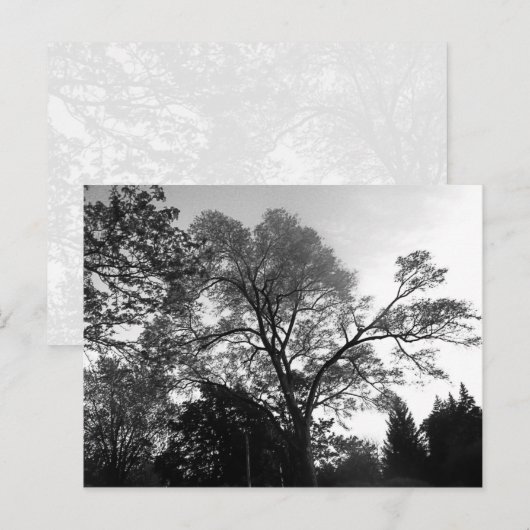 木カッコいい写真。 ポストカード (正面/裏面)