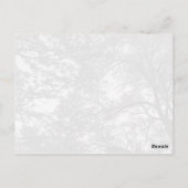 木カッコいい写真。 ポストカード (裏面)