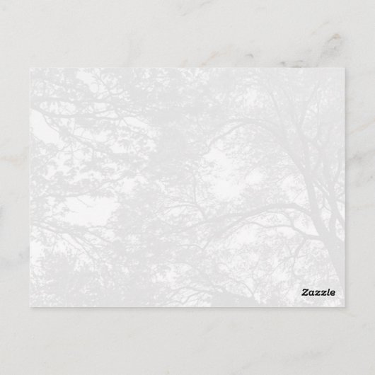 木カッコいい写真。 ポストカード (裏面)