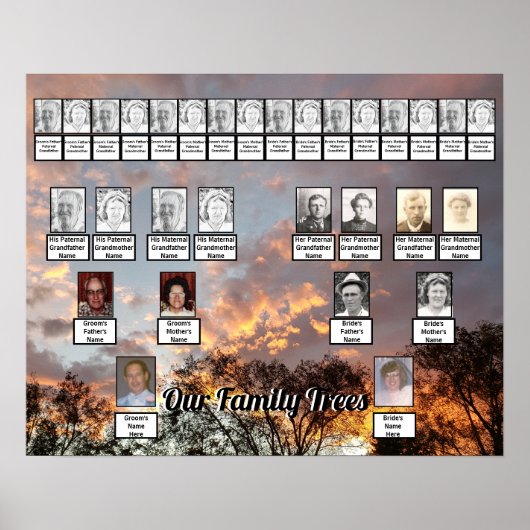 木カラフルの上の雲フォトファミリーツリー ポスター (正面)