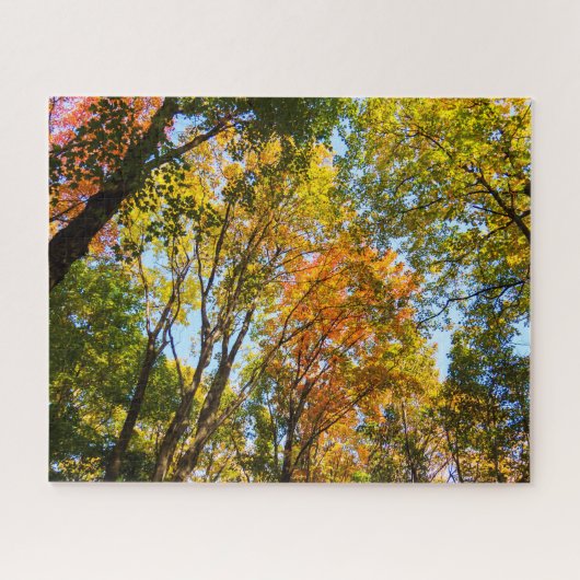 木カラフルの上 ジグソーパズル (横)